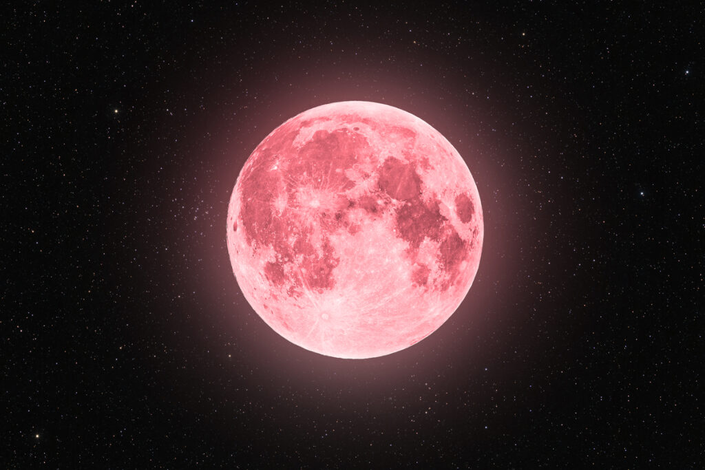 Pink full super moon glowing with pink halo surrounded by stars on black sky background
