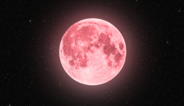 The first full moon of summer peaks over Miami skies tonight — here’s how to see June's Strawberry Moon