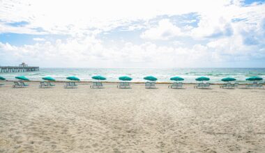 Melanoma Cases and Deaths Highest Among Florida’s Older Adults