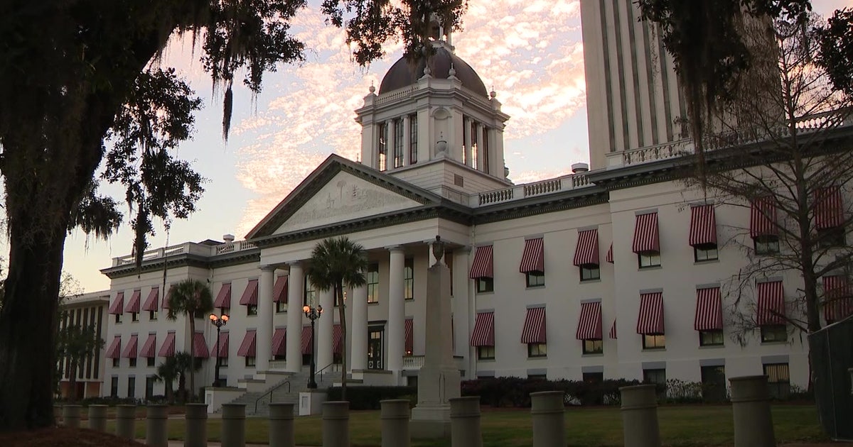 Florida laws take effect July 1: Here's what's new