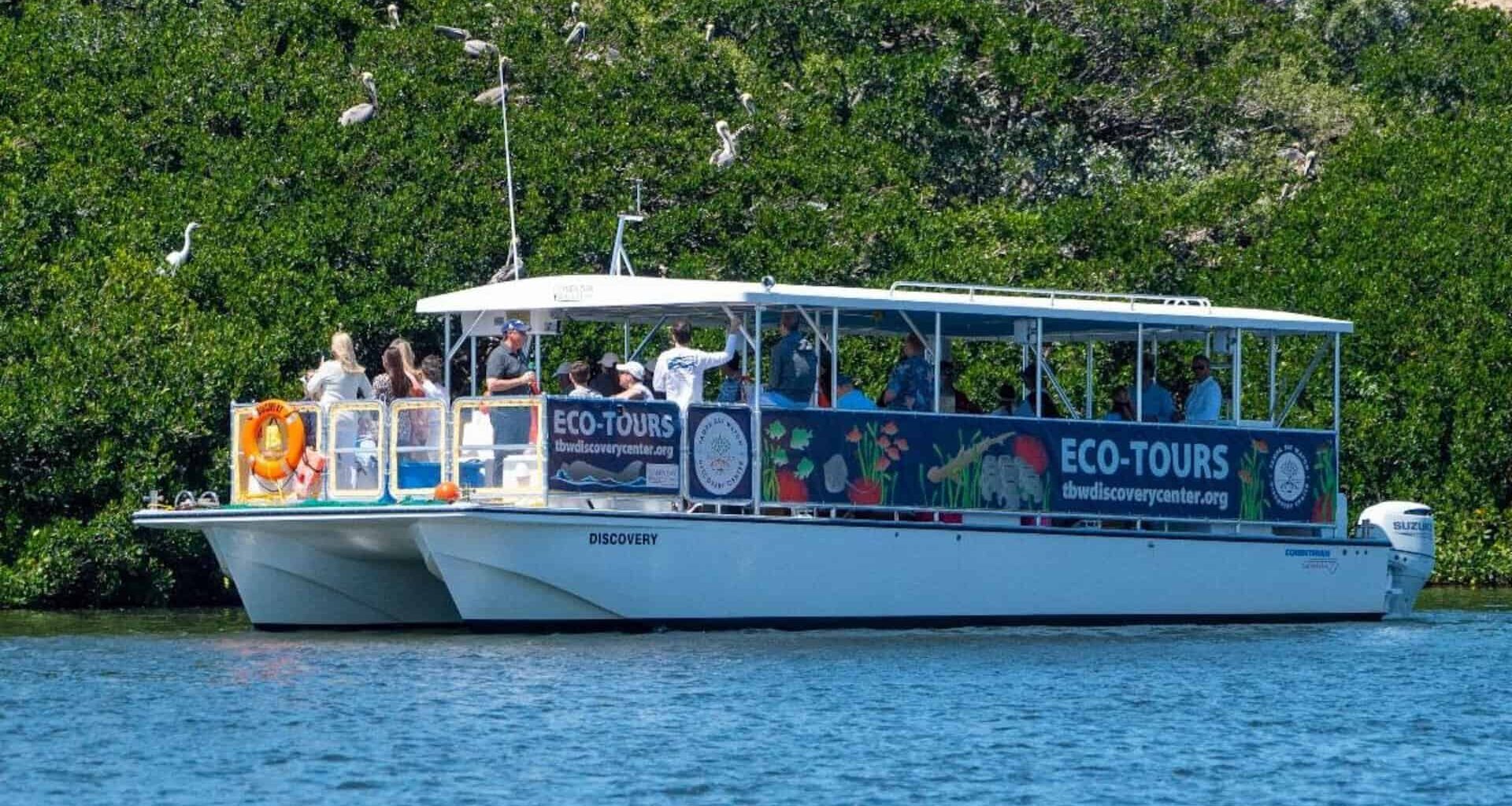 7 family-friendly water activities for summer in the St. Pete area