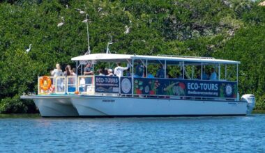 7 family-friendly water activities for summer in the St. Pete area