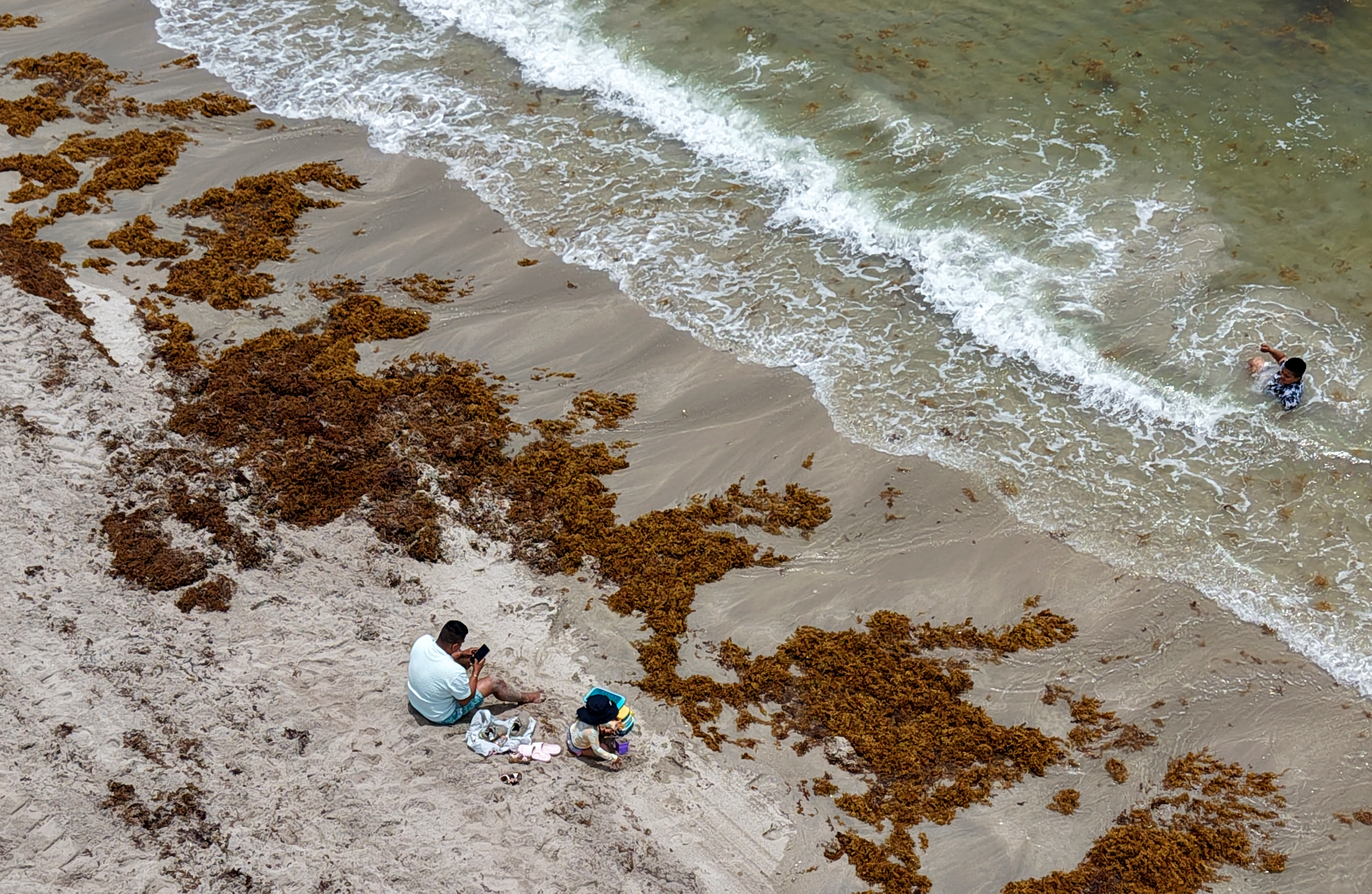Beachgoers deal with the heavy amount of sargassum seaweed that...