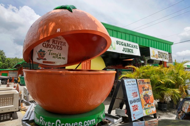 Bob Roth's New River Groves is recognized for winning the South Florida Sun Sentinel Best of South Florida Dining series for best Key lime pie on Thursday, June 18, 2026. (Mike Stocker/South Florida Sun Sentinel)