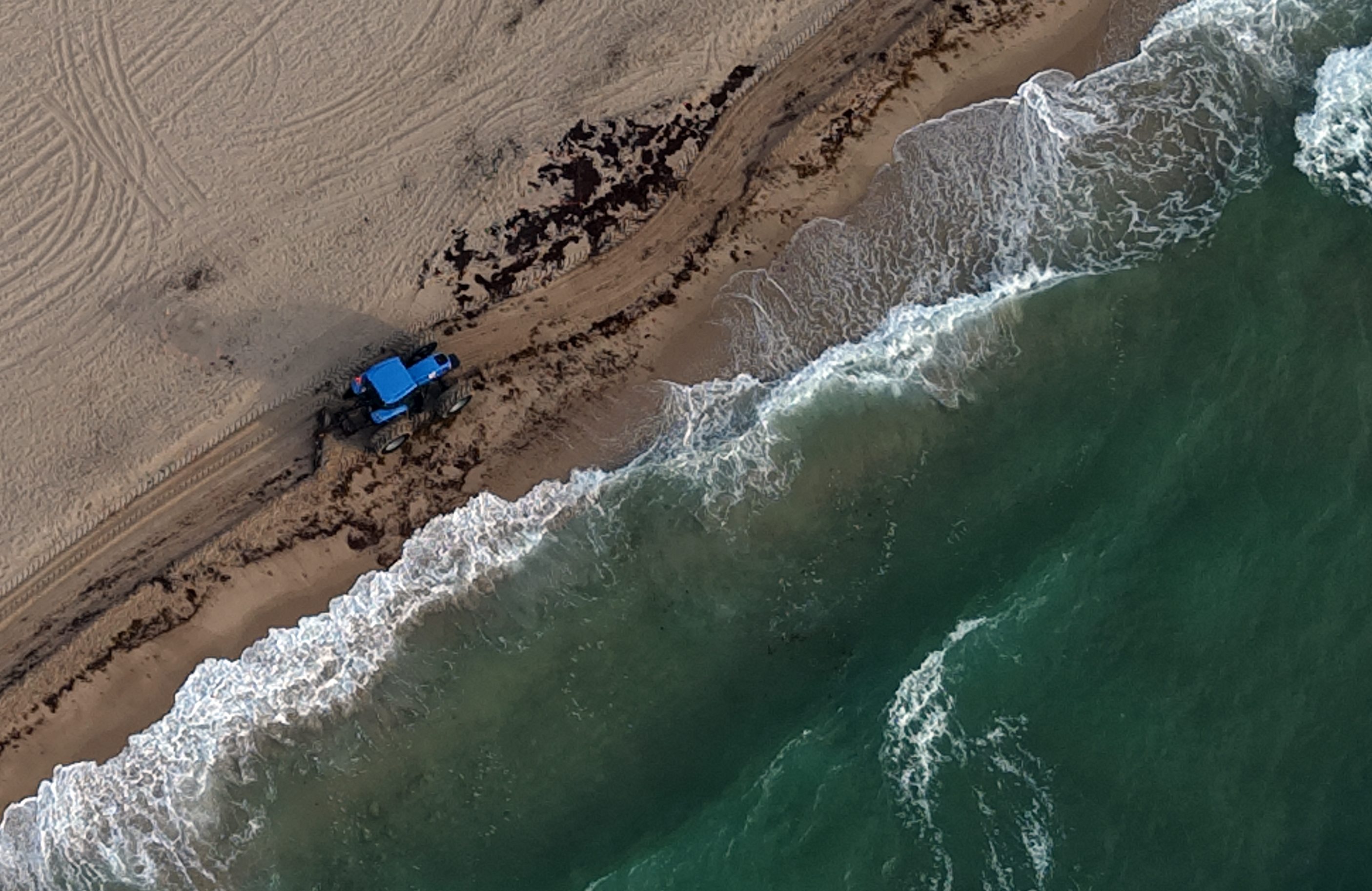 Tractors from the City of Fort Lauderdale plow under sargassum...