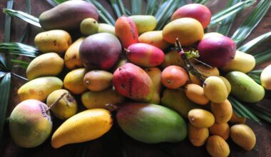 Mango Festival is back on Father's Day