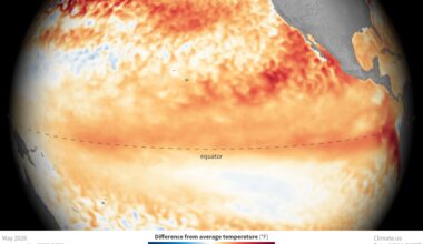 The ENSO Update
