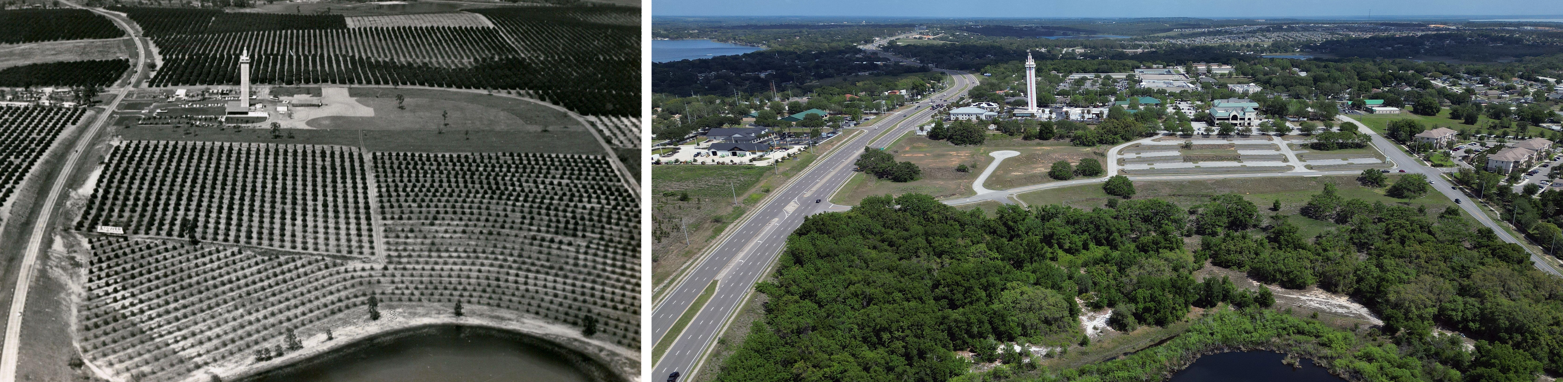 On left, thousands of acres of citrus groves surrounded the...