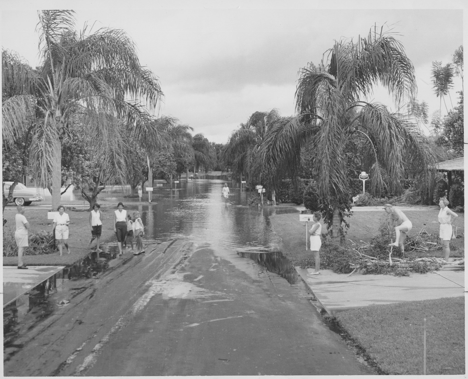Homeowners on Palm Lane, off Corrine Drive in Orlando, clean...