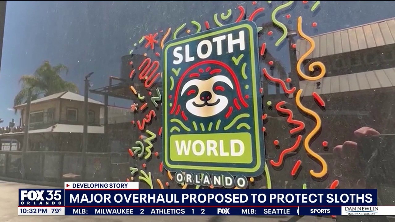 Florida urged to strengthen sloth protections after deaths tied to attraction
