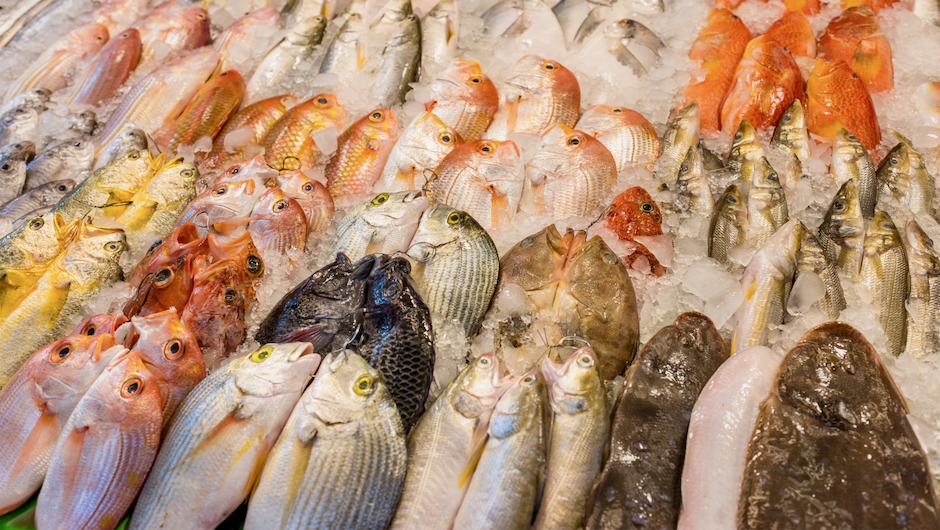 University of Miami joins new NOAA Cooperative Institute to advance sustainable U.S. aquaculture