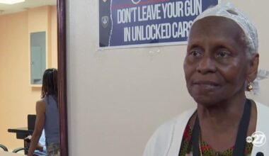 Tallahassee leaders push for early action on gun violence