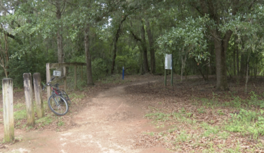 Medical examiner releases findings on remains found at Tom Brown Park