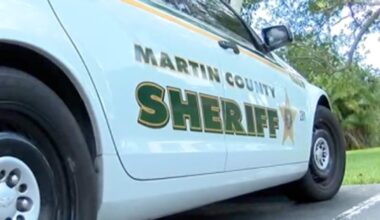 Man arrested after dead dog, starving dogs found at property, MCSO says
