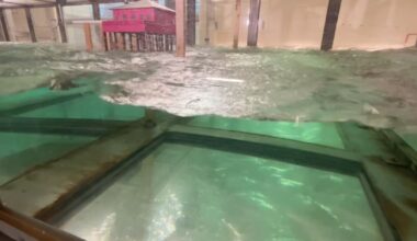 WATCH: Miami lab simulates hurricanes to protect coastal communities