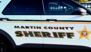 400-pound black bear hit, killed by car on Martin County highway