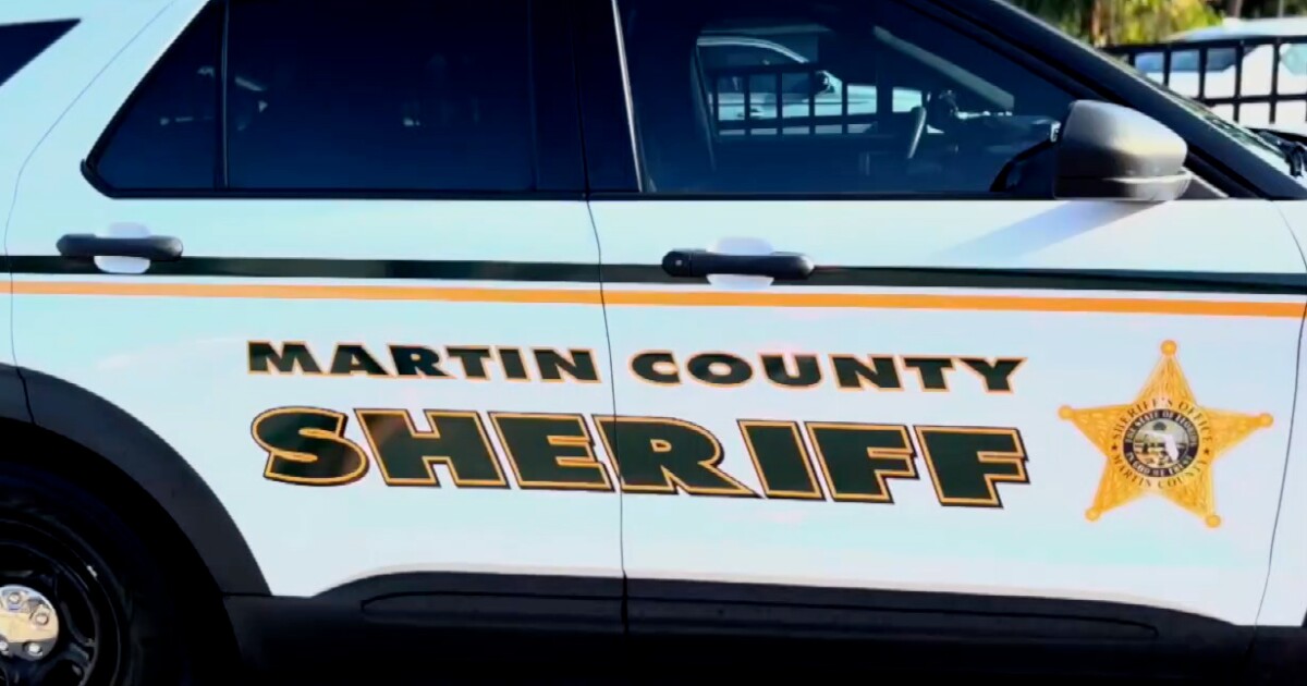 400-pound black bear hit, killed by car on Martin County highway