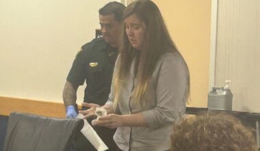 Woman sentenced to 29 years in death of cyclist on 10-Cent Bridge