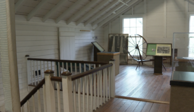 Tallahassee Museum to host a Flag Day Cookout and new exhibit
