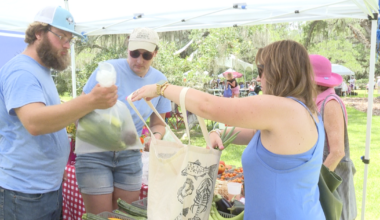 Tomato Festival sparks conversation about the future of farming in North Florida