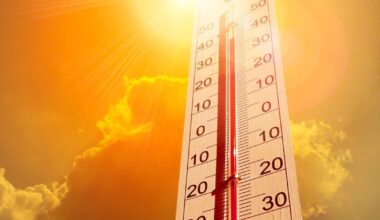 Leon County opens libraries as cooling stations