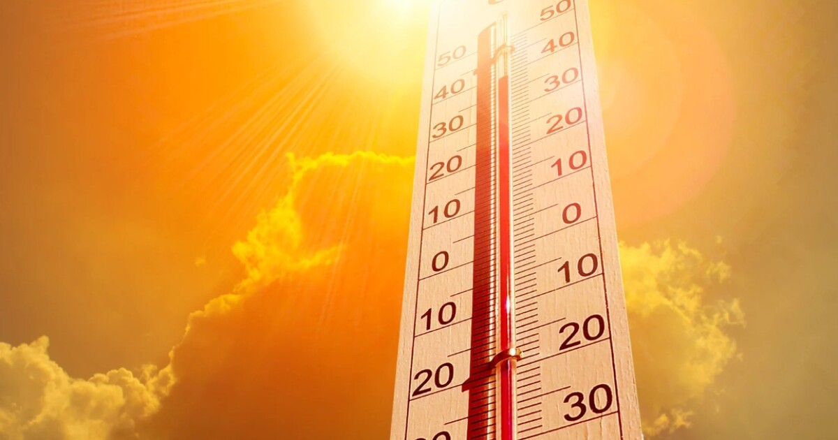 Leon County opens libraries as cooling stations