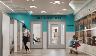 Humane Society of the Treasure Coast Thrift Stores support animals