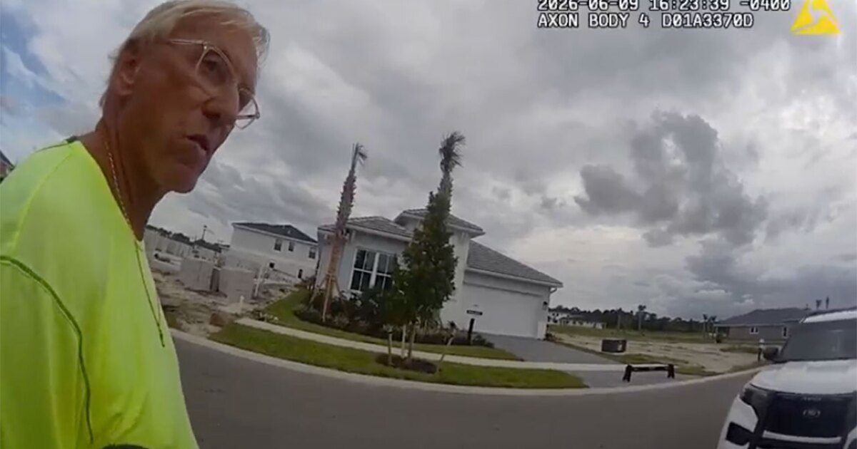 Road rage arrest: Man, 78, charged for pointing gun at pregnant driver