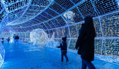 World’s Largest Christmas Light Maze returns to St. Petersburg