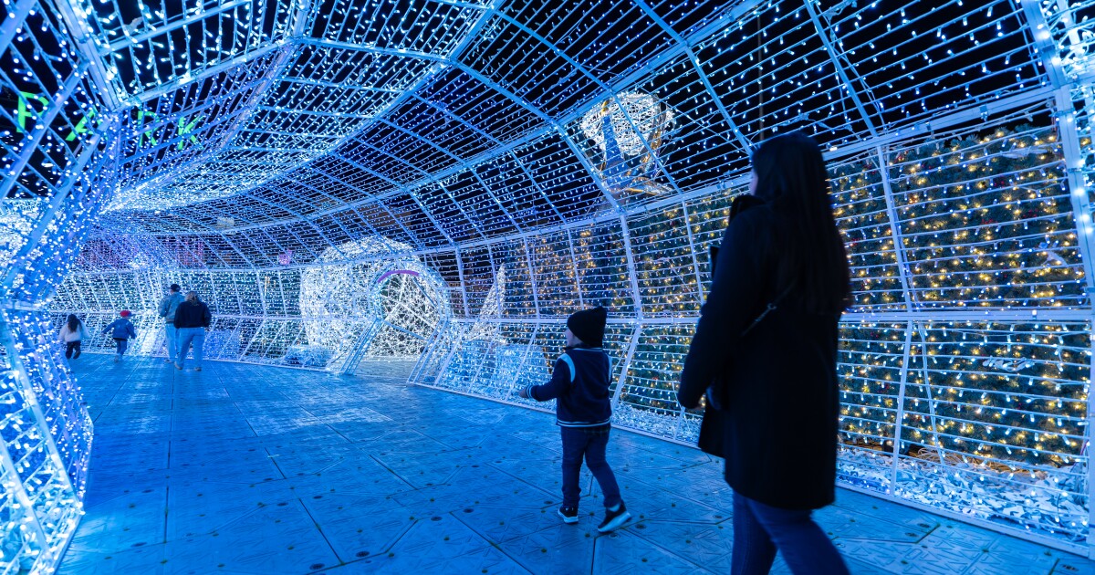 World’s Largest Christmas Light Maze returns to St. Petersburg