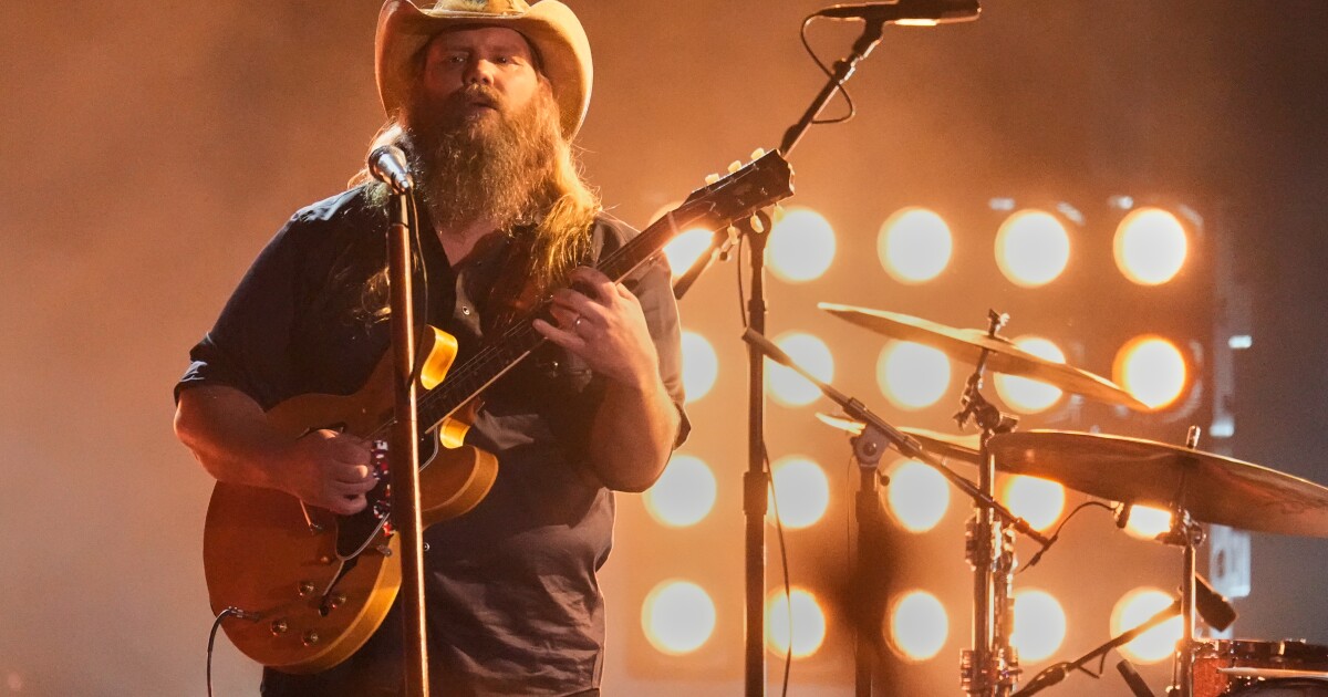 Things to do in Tampa Bay this weekend