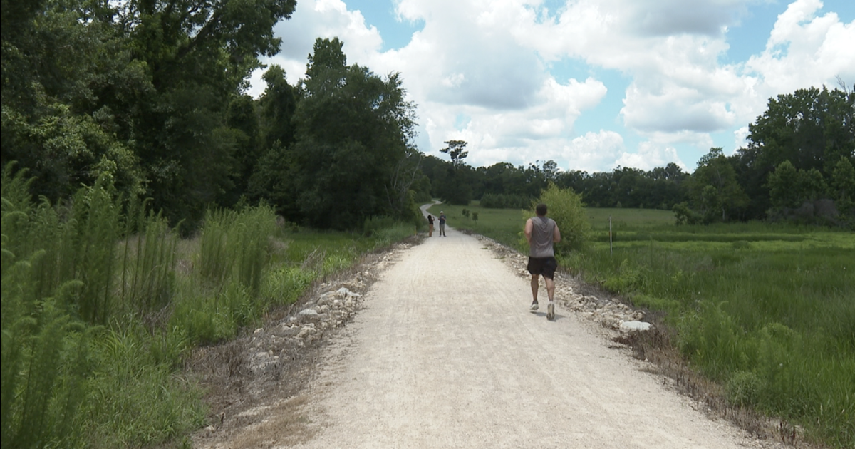Leon County to use stormwater model to pinpoint cause of 2024 greenway flooding