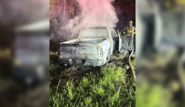 Martin County Sheriff investigates fatal roadside vehicle fire