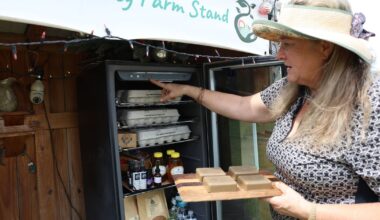 Florida farm stand owners navigate regulations and rising temperatures