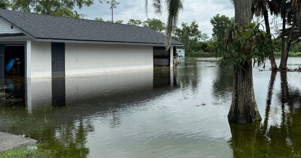Got resiliency? South Florida Water Management District to host forum; review in-land flood stuidies | WGCU News