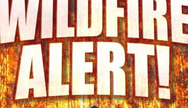 Florida Forest Service battle 525-acre wild fire in Hendry County; blaze 25 percent contained Sunday | WGCU News