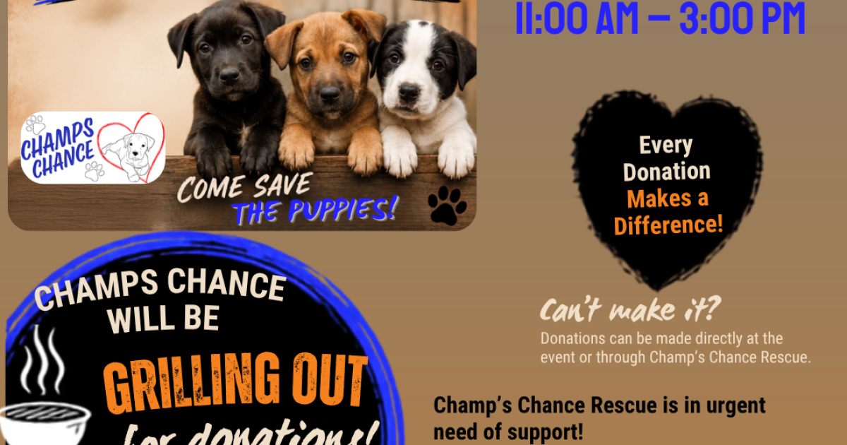 Last Chance for Champ's Chance