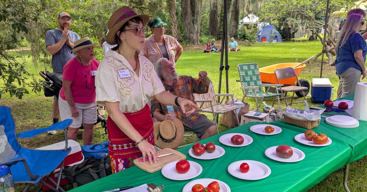 The Red Hills Small Farm Alliance Tomato Feastival turns 21