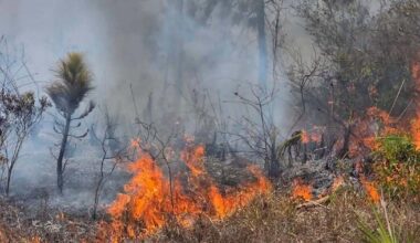 Several wildfires burning in Southwest Florida; Sarasota to Lee, Charlotte to Hendry counties | WGCU News