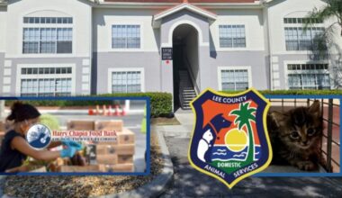 Fort Myers woman's unnoticed life becomes noticed after her death -- Harry Chapin Food Bank, Lee County Animal Services each get $2M | WGCU News