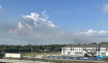 Fire at CREW Wildlife Management Area in Lee Country burns 25 acres, 85% contained | WGCU News