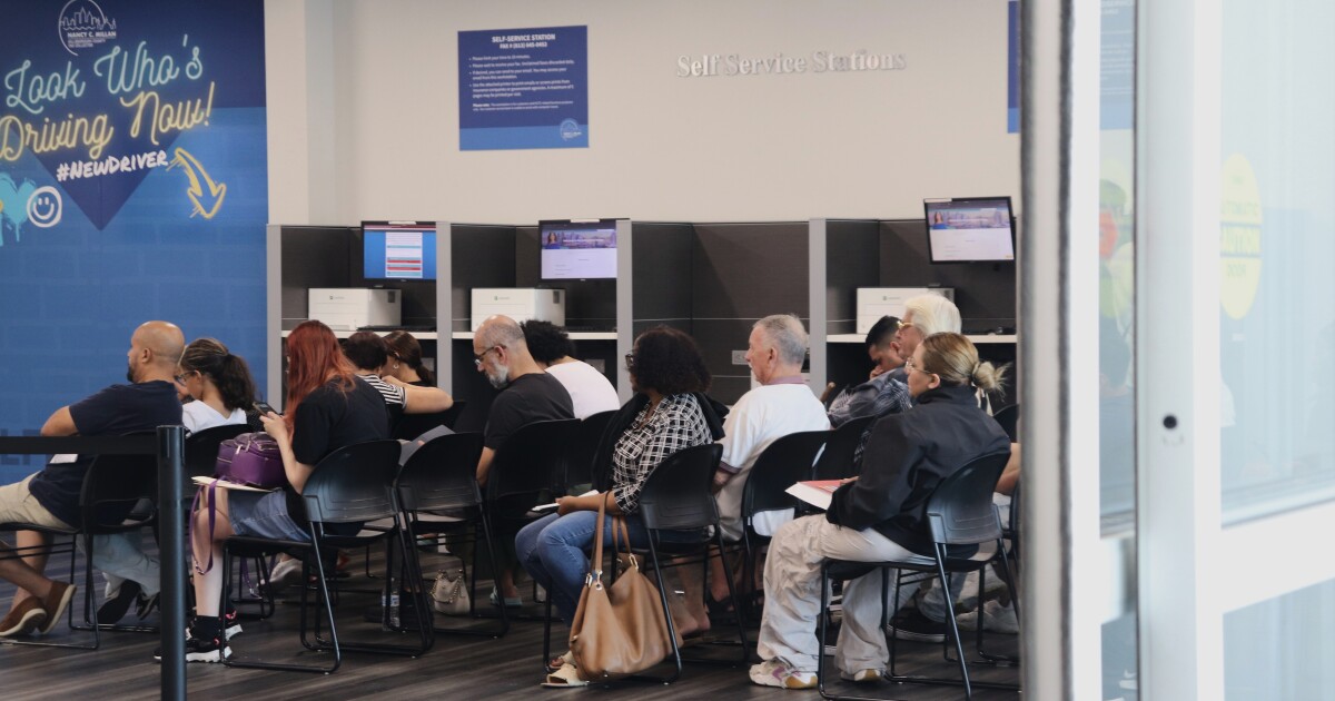 Tampa Bay area tax collectors scramble to serve customers as DMV network fails