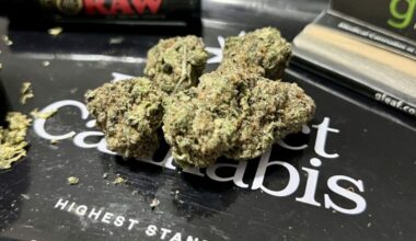 Florida-based Trulieve set to become first cannabis company listed on the NYSE