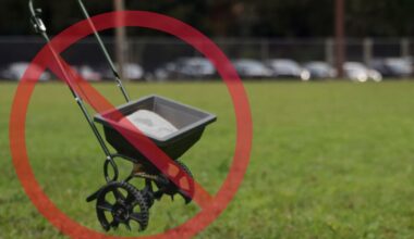 Most of the Tampa Bay region is under a seasonal fertilizer ban. Here's what you need to know