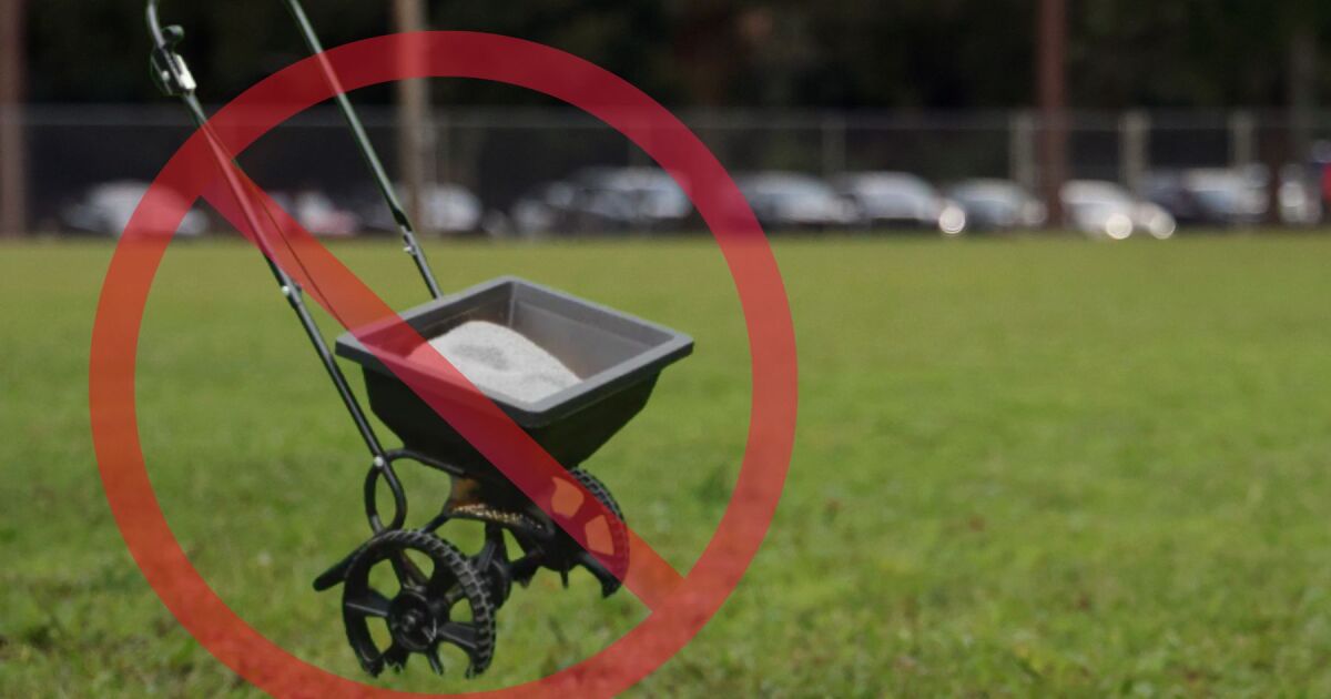 Most of the Tampa Bay region is under a seasonal fertilizer ban. Here's what you need to know