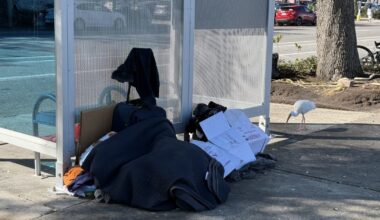St. Pete anti-homeless policies questioned after woman's death