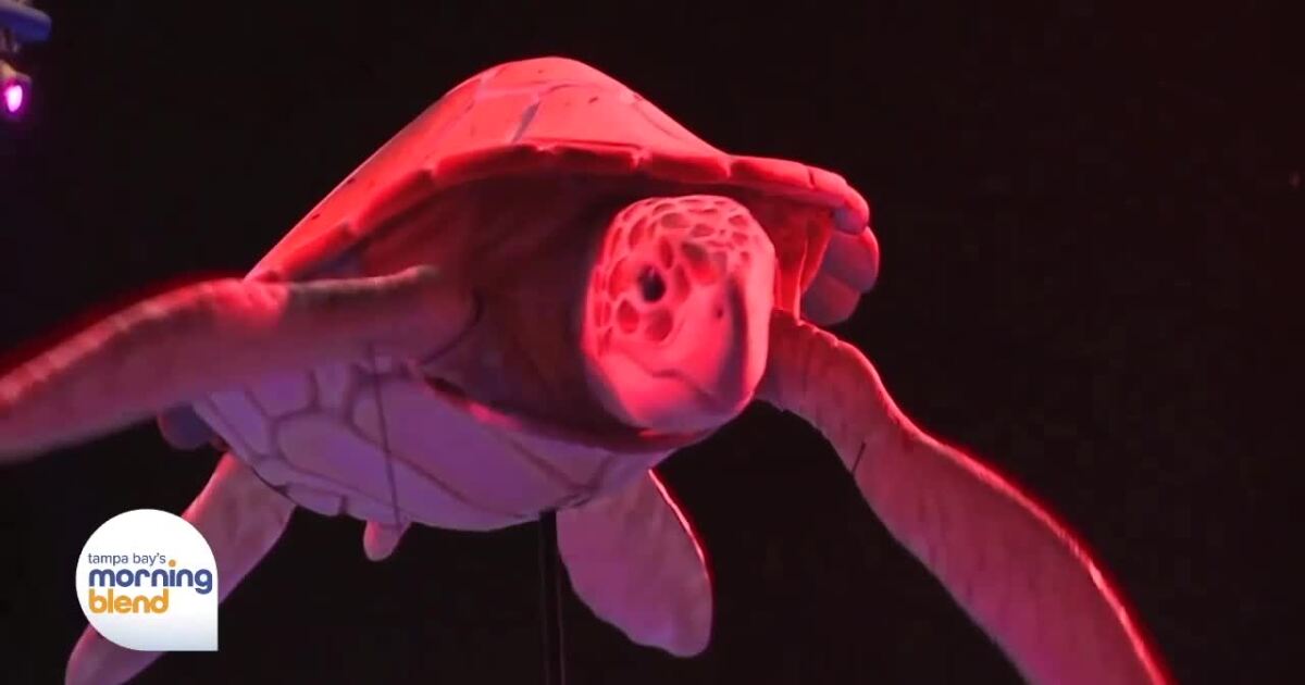 SeaWorld is Celebrating Summer at All the Parks!