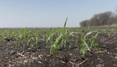 What you need to know about the fertilizer ban on the Treasure Coast