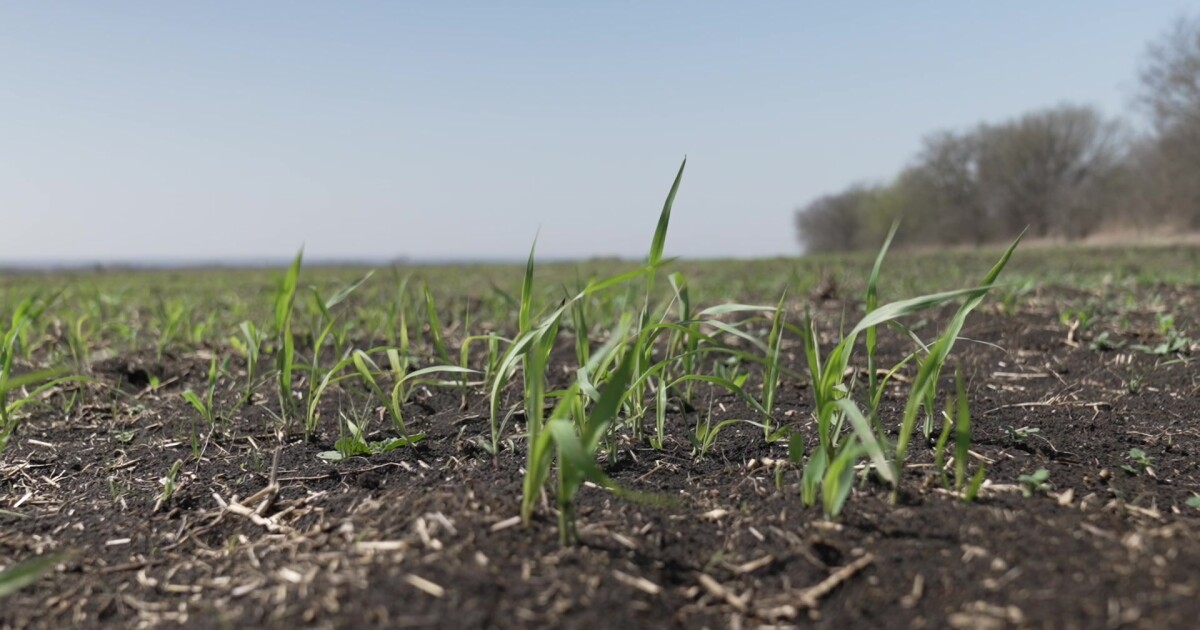 What you need to know about the fertilizer ban on the Treasure Coast