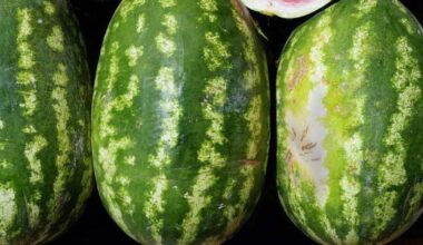 Monticello Watermelon Festival celebrates 75 years this weekend